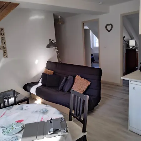 T3 Hyper Centre Mont-dore Apartment Le Mont-Dore