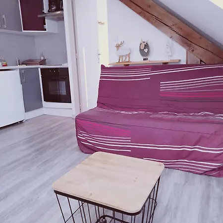 T3 Hyper Centre Mont-dore Apartment